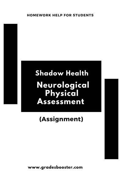 NR 509 Week 3 Shadow Health Neurological Physical Assessment Assignment